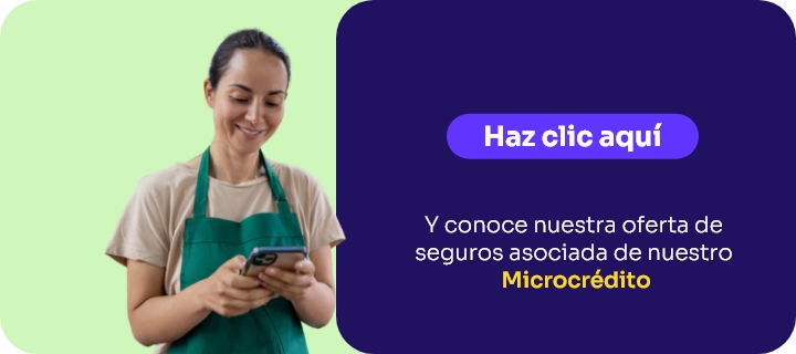 Seguros micro