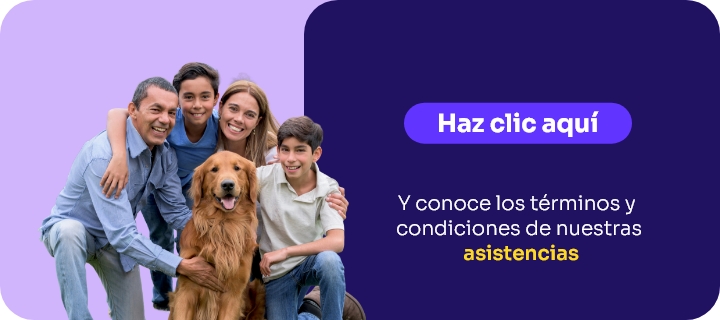 Seguros micro